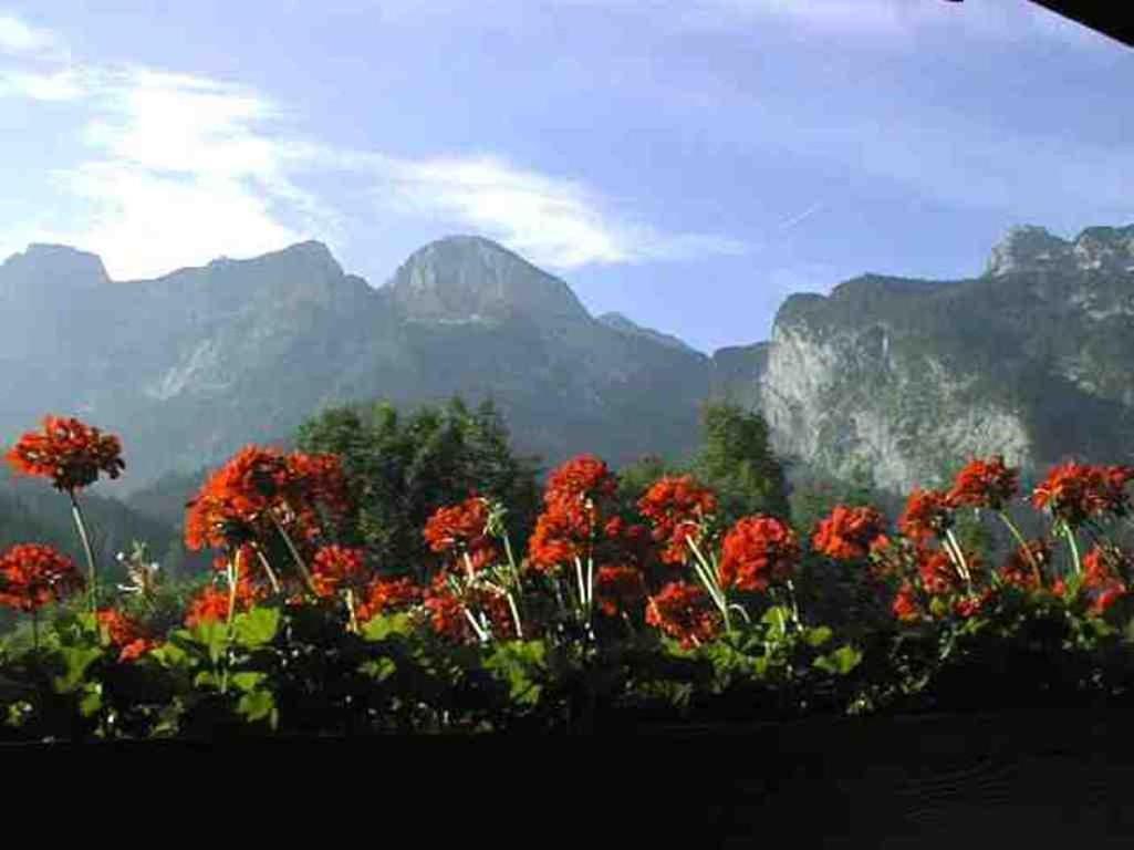 Schoerghof أبتيناو المظهر الخارجي الصورة